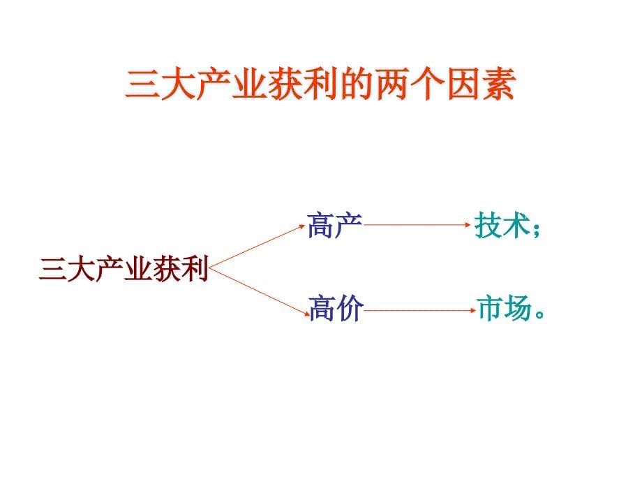 蔡英明讲座1农业产前准确选项与产后高价营销_第5页