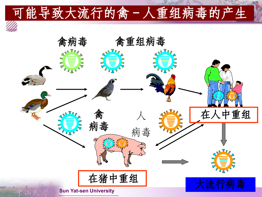 《微生物学》教学课件：第七章 微生物的遗传变异和育种 (2)_第4页