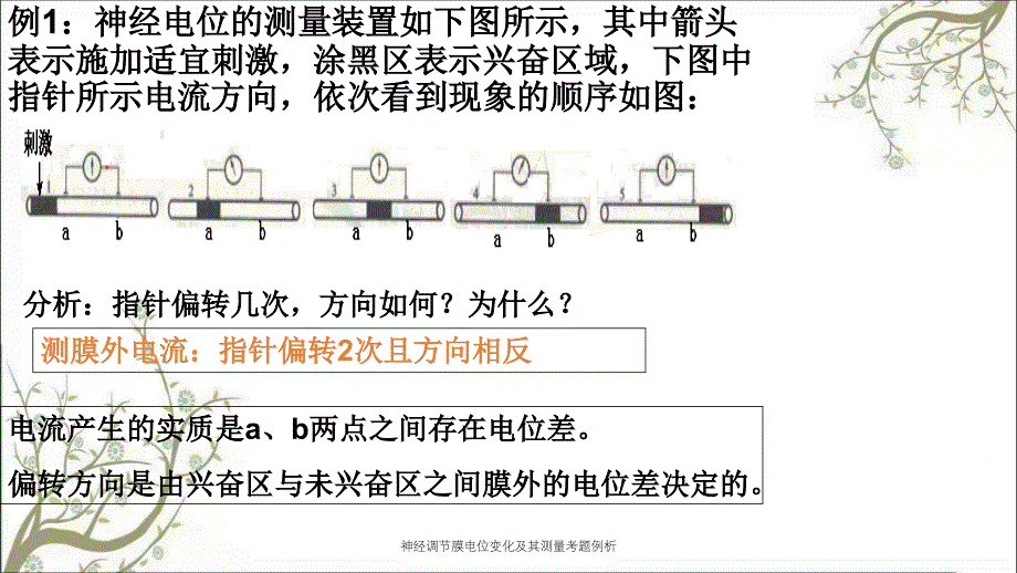 神经调节膜电位变化及其测量考题例析_第2页