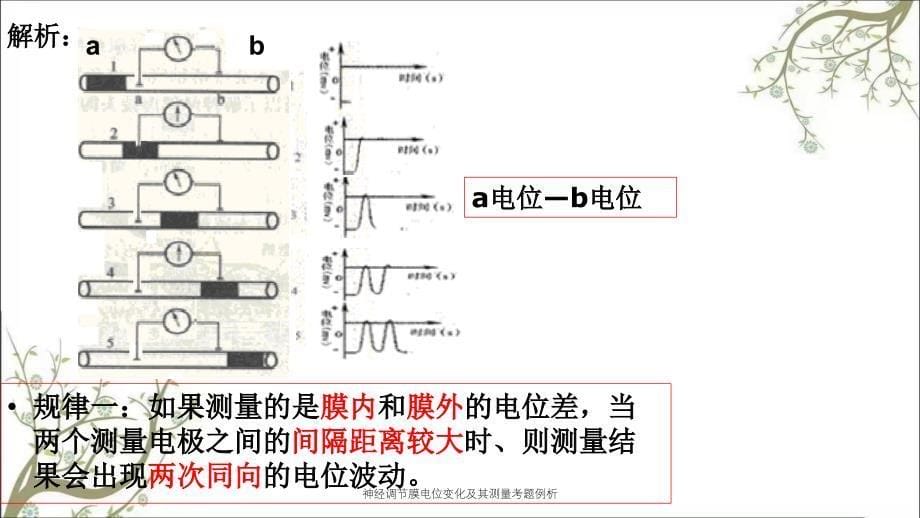 神经调节膜电位变化及其测量考题例析_第5页