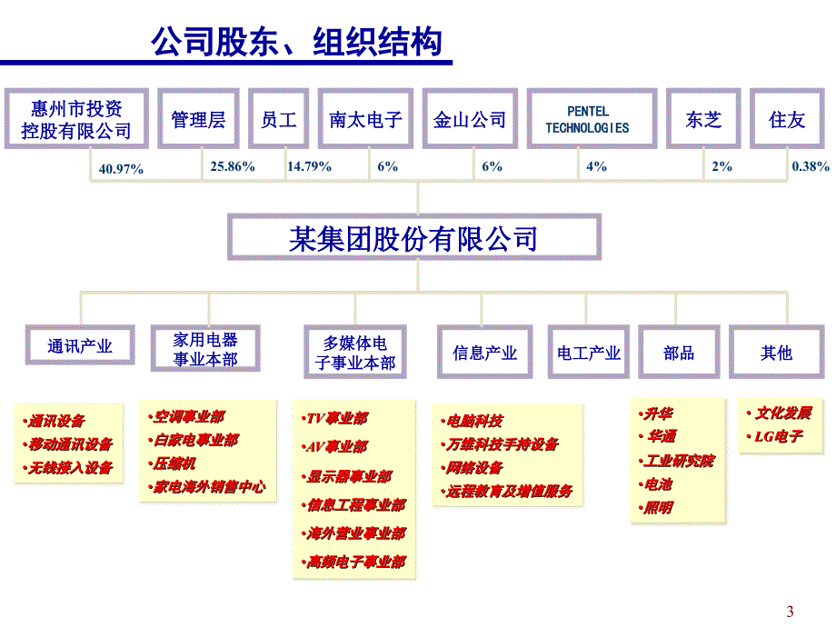 某集团股份有限公司介绍_第3页