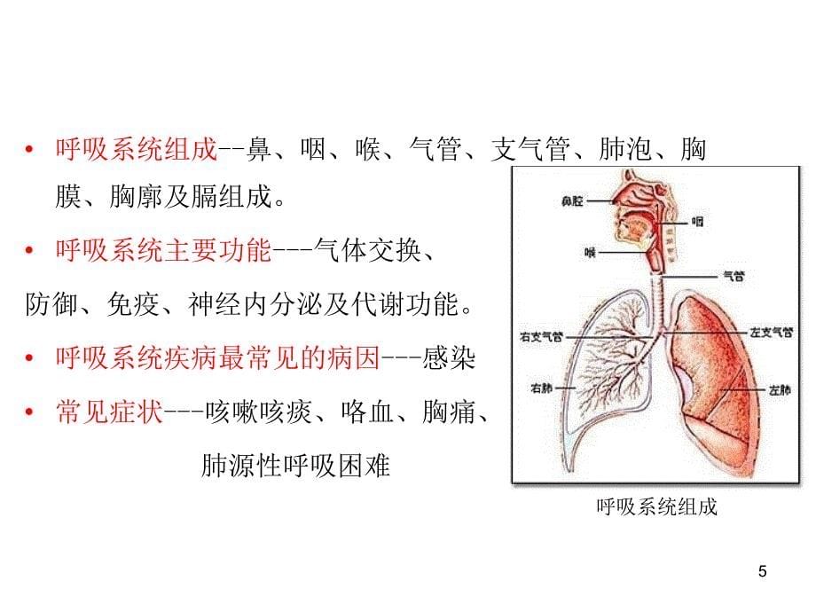 呼吸系统病人的护理课件_第5页