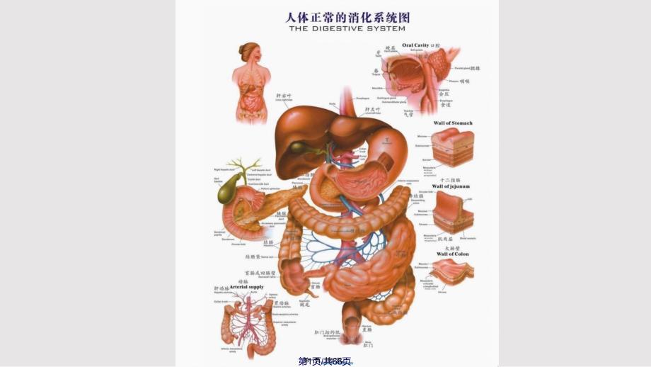 ICU病房消化道出血的诊断和治疗实用教案_第1页