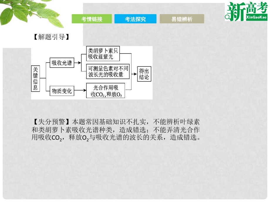 高考生物二轮复习 第二部分 专题三 光合作用和细胞呼吸课件_第4页