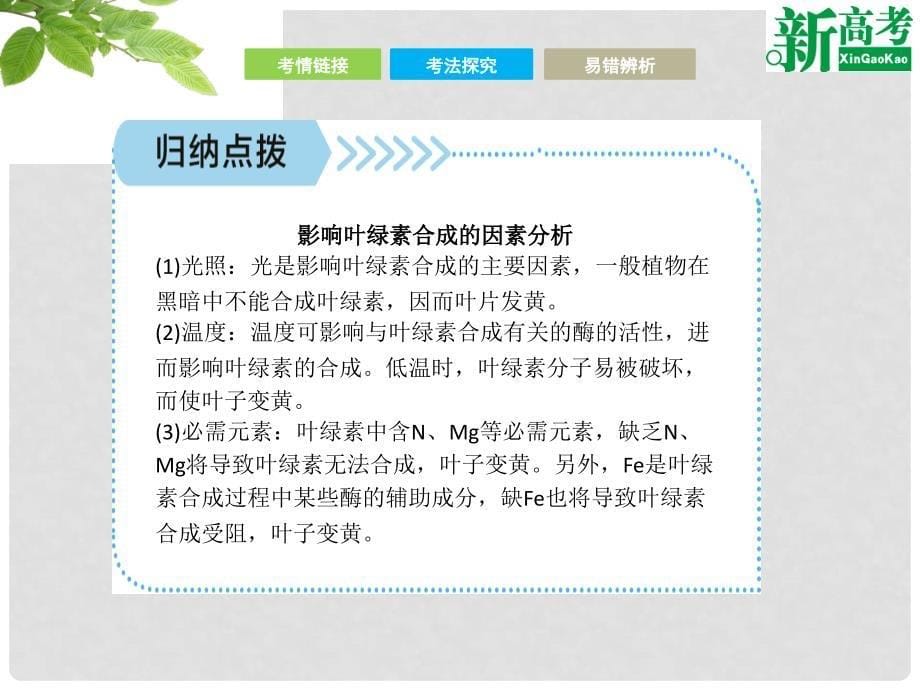 高考生物二轮复习 第二部分 专题三 光合作用和细胞呼吸课件_第5页