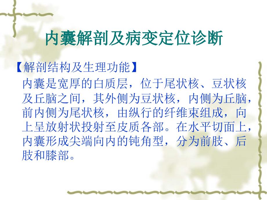 内囊基底神经节间脑的解剖_第1页
