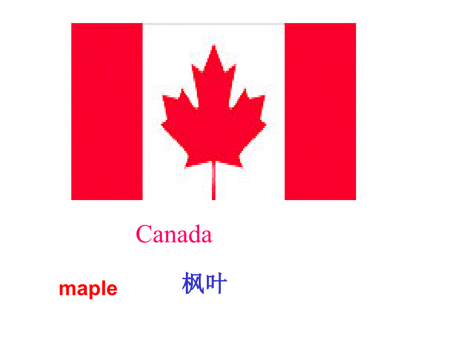 Unit 5 Canada – “The True North” warming up and reading：课件八（27张PPT）_第3页