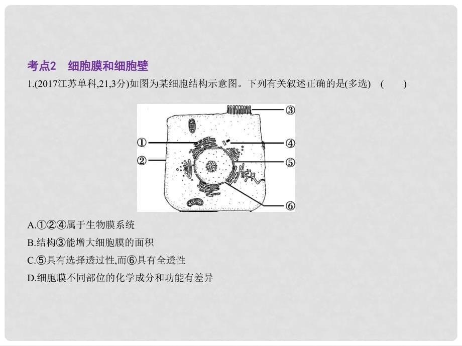 高考生物一轮复习 专题2 细胞的结构和功能课件1_第5页