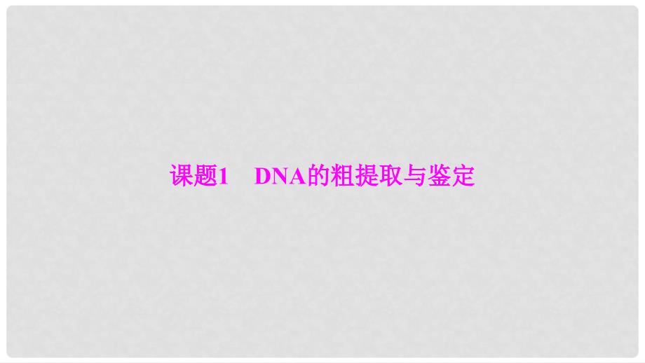 高中生物 专题5 DNA和蛋白质技术 课题1 DNA的粗提取与鉴定课件 新人教版选修1_第2页