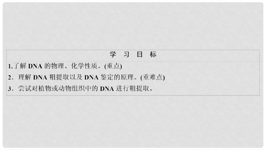 高中生物 专题5 DNA和蛋白质技术 课题1 DNA的粗提取与鉴定课件 新人教版选修1_第3页