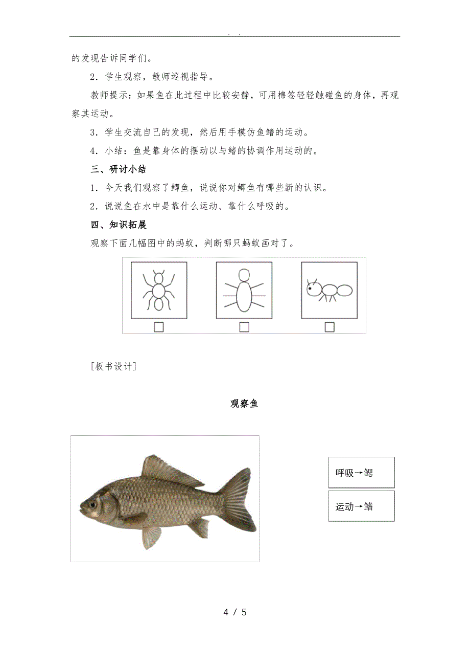 《观察鱼》教学设计_第4页