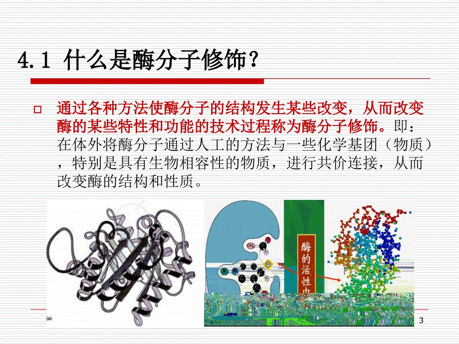 酶分子修饰NXPowerLite_第3页