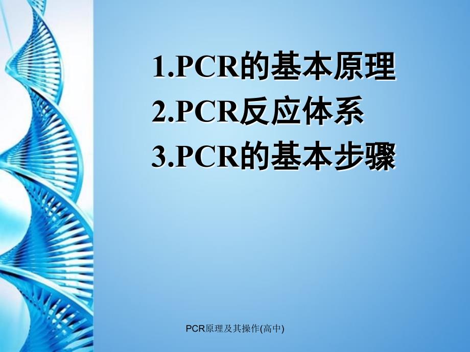 PCR原理及其操作高中精品_第2页