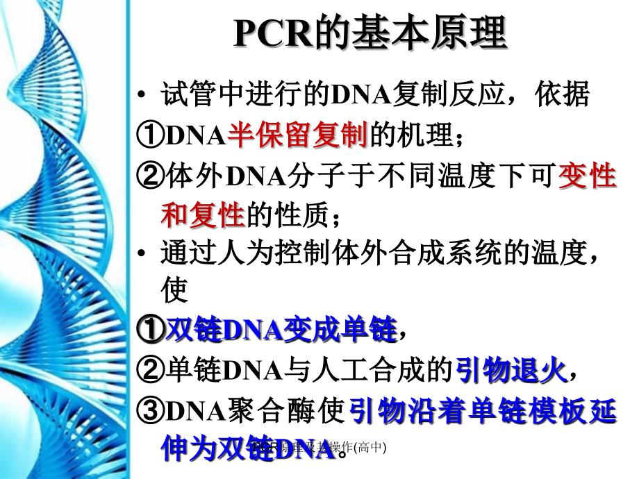 PCR原理及其操作高中精品_第3页