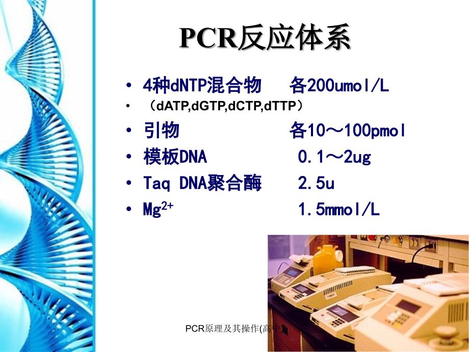 PCR原理及其操作高中精品_第4页