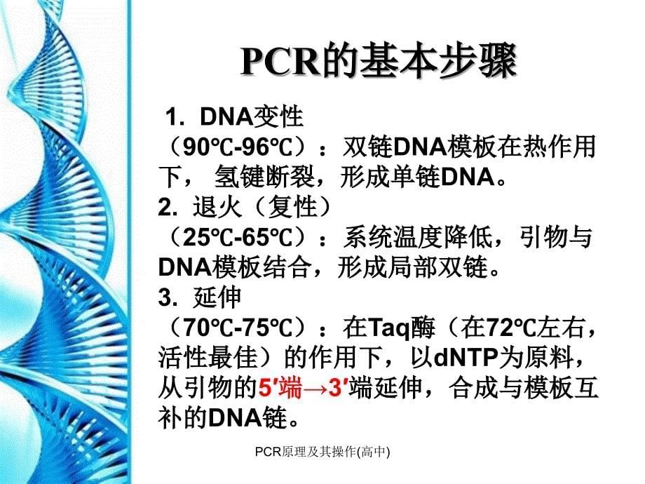 PCR原理及其操作高中精品_第5页