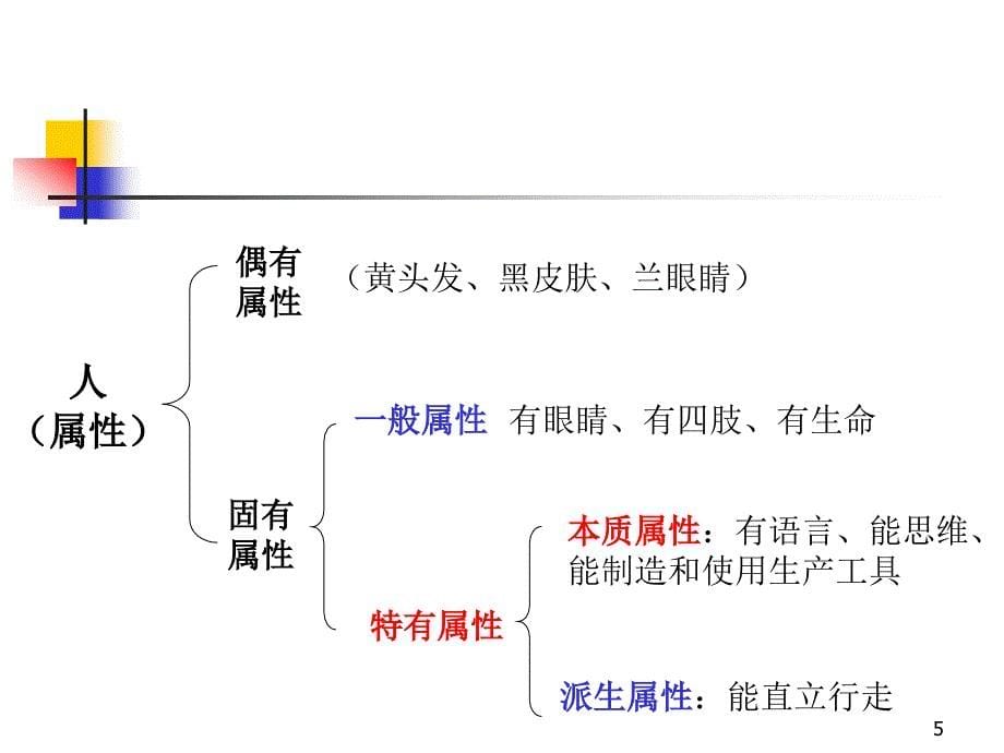 逻辑思维训练2概念_第5页