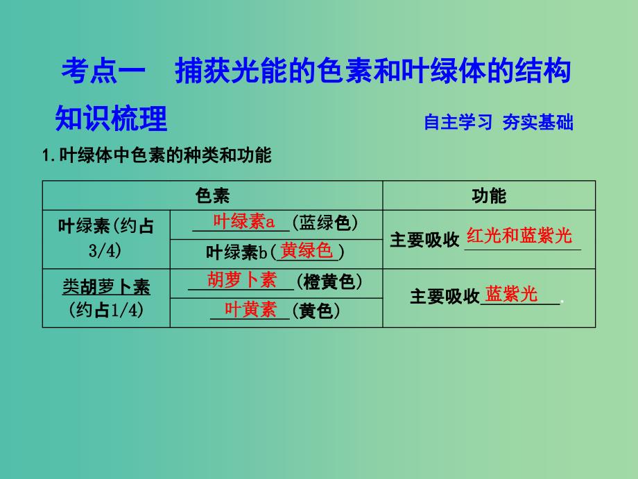 高中生物第三单元细胞的能量供应和利用第10讲光合作用课件.ppt_第3页