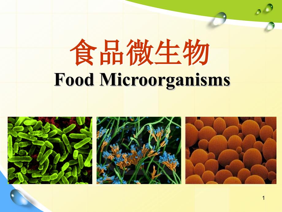 食品微生物ppt课件_第1页