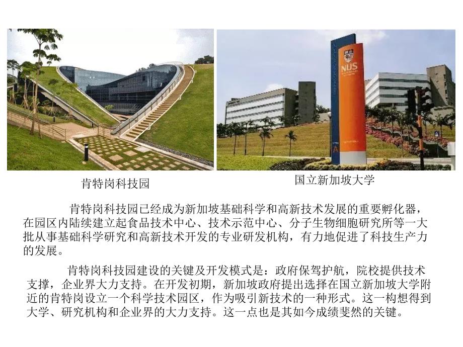 新加坡的都市农业_第4页