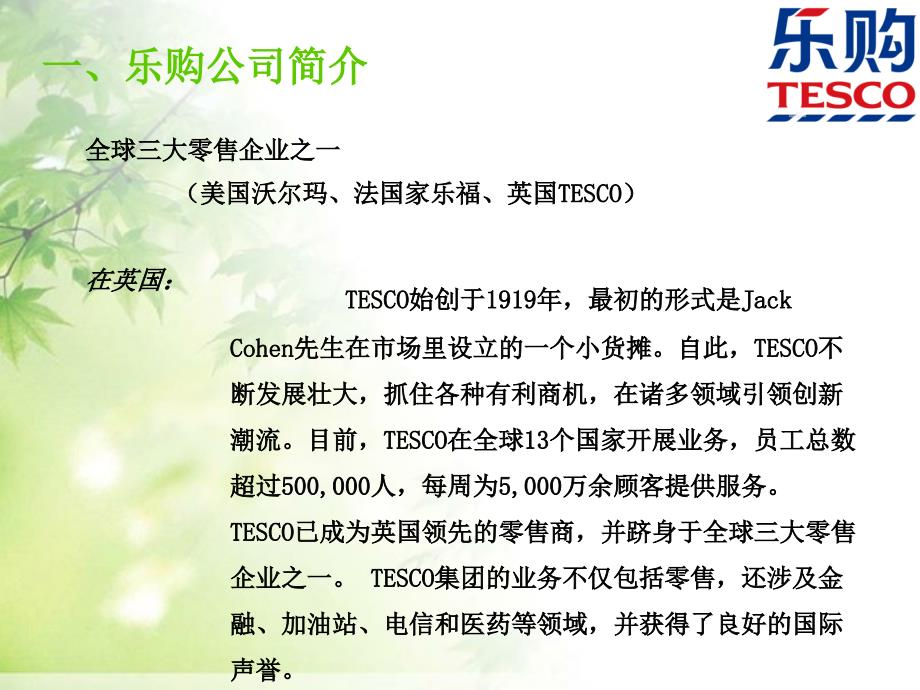 TESCO客户忠诚计划_第3页