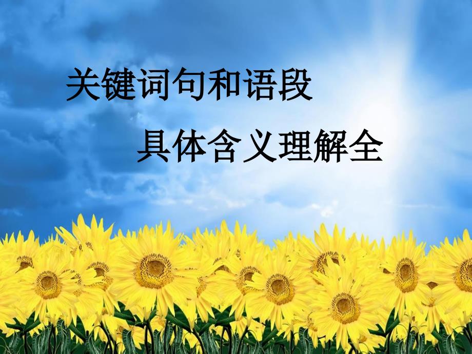 关键词句和语段具体含义理解全PPT优秀课件_第1页