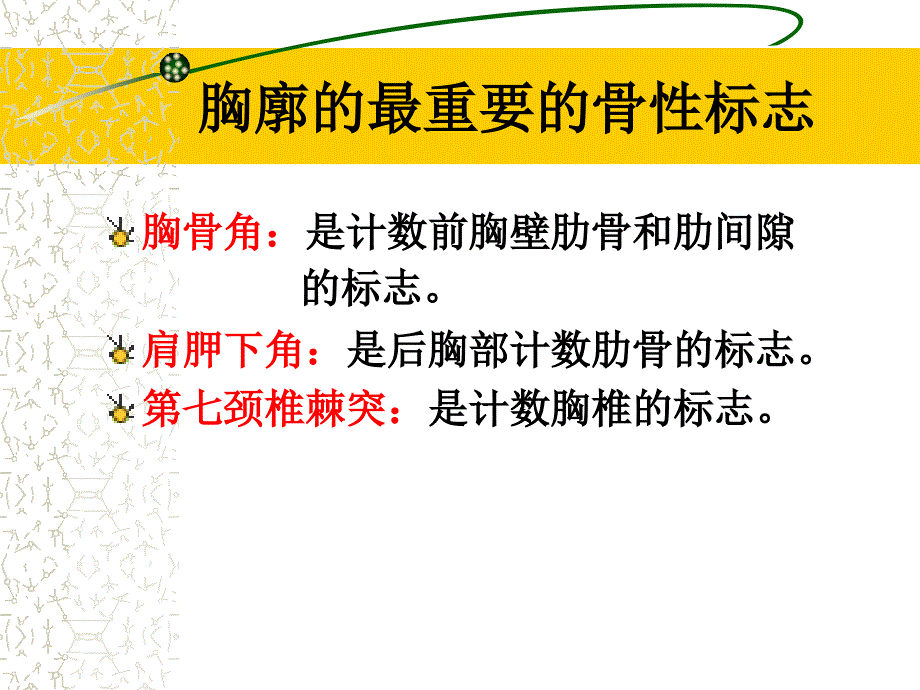 健康评估之教学PPT胸廓-肺脏评估_第4页