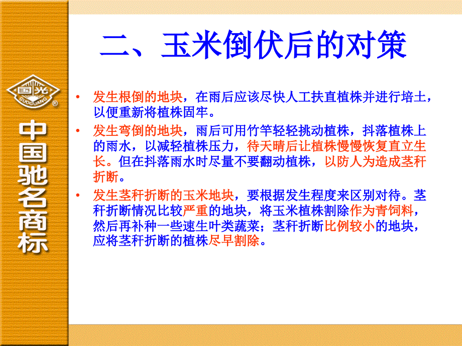 玉米如何防倒增产PPT课件_第3页