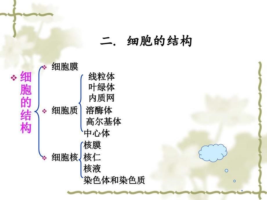 第二章遗传的细胞学基础_第5页