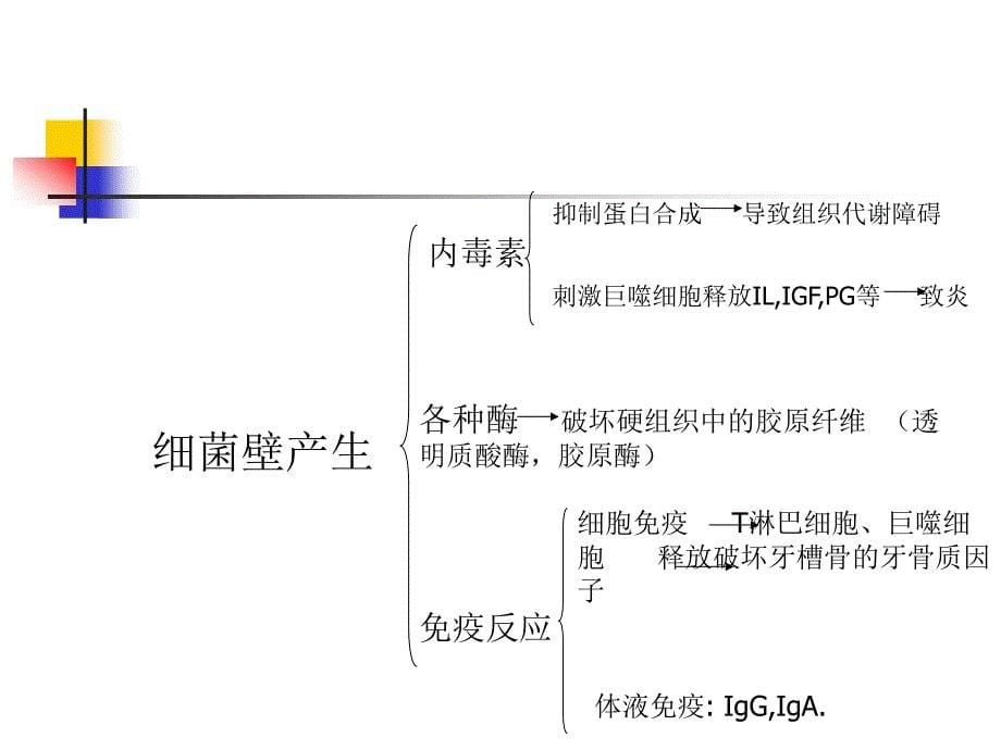 口腔病理组织学：根尖周病_第5页