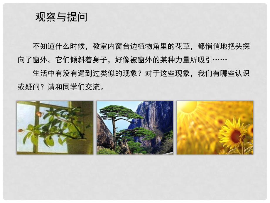 六年级科学上册 1.1《植物角里的科学问题》课件3 大象版_第3页