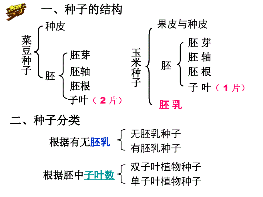 第4节植物的一生第二课时_第2页