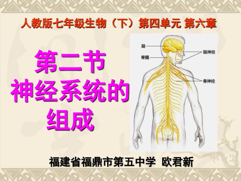 2[神经系统的组成]课件_第1页