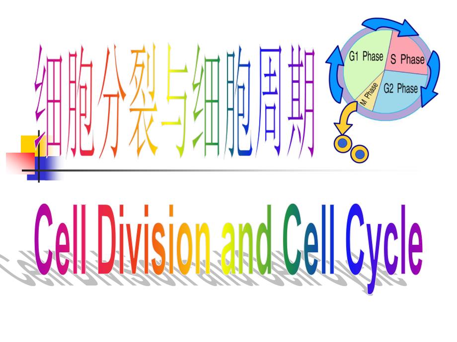 医学细胞生物学第13章细胞的分裂和细胞周期_第1页