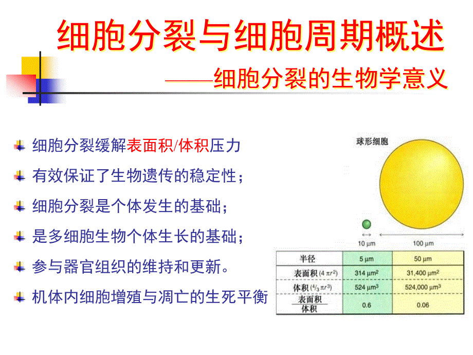 医学细胞生物学第13章细胞的分裂和细胞周期_第4页