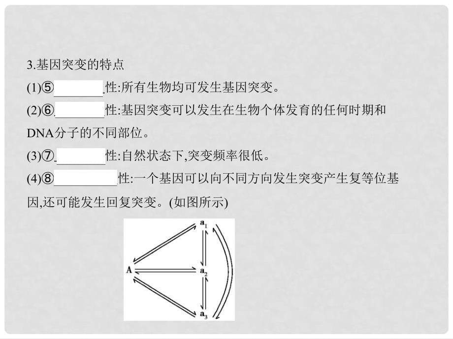 高考生物一轮复习 遗传与进化 第7单元 生物的变异、育种与进化 第20讲 基因突变与基因重组课件（必修2）_第5页