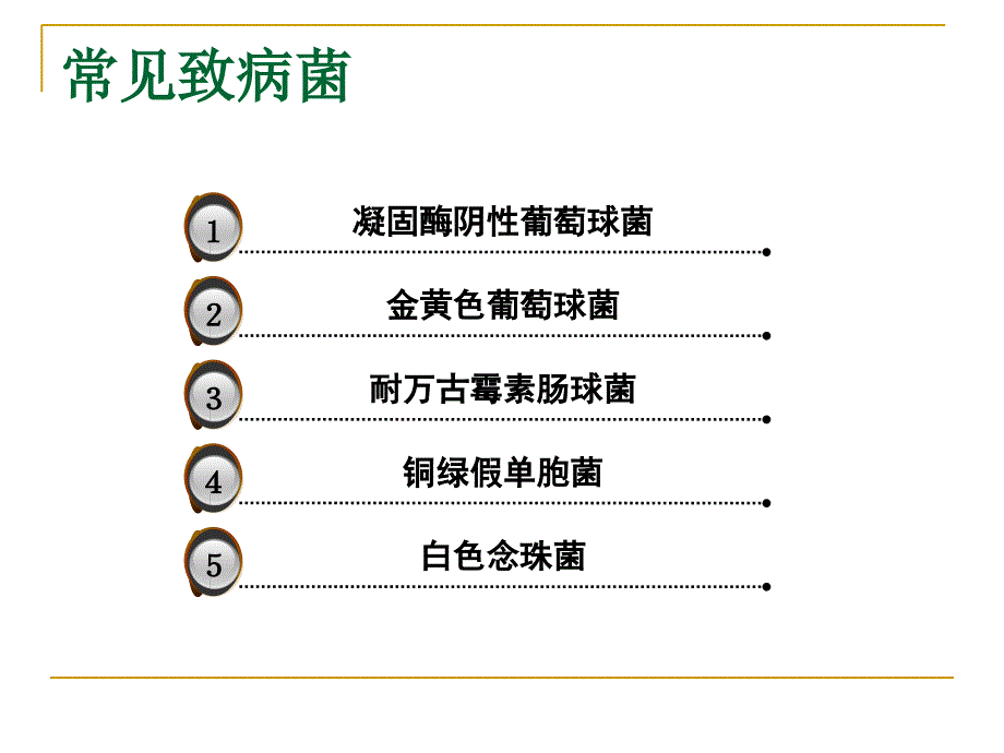 新血管内导管相关感染_第4页