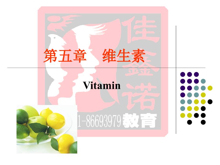 临床医学专业生物化学第05章维生素课件_第2页