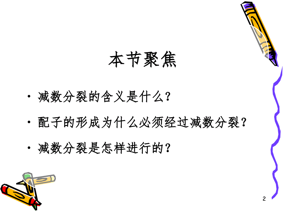 减数分裂动画版PPT课件_第2页