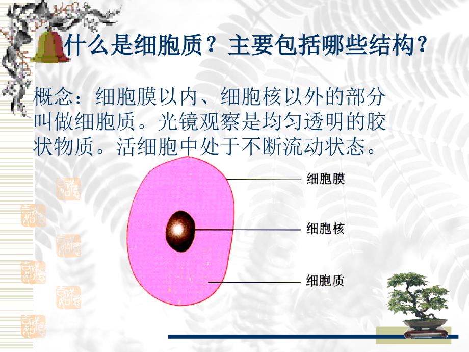 细胞结构.ppt_第2页