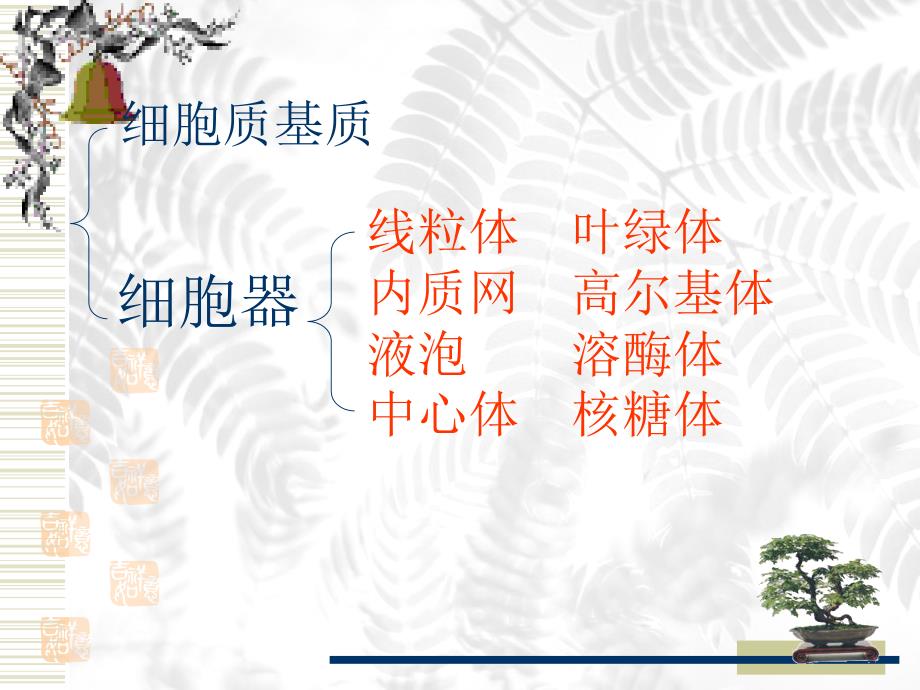 细胞结构.ppt_第3页