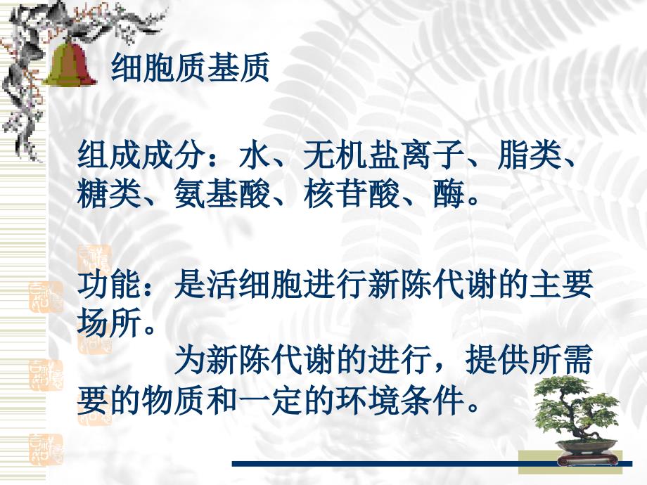 细胞结构.ppt_第4页