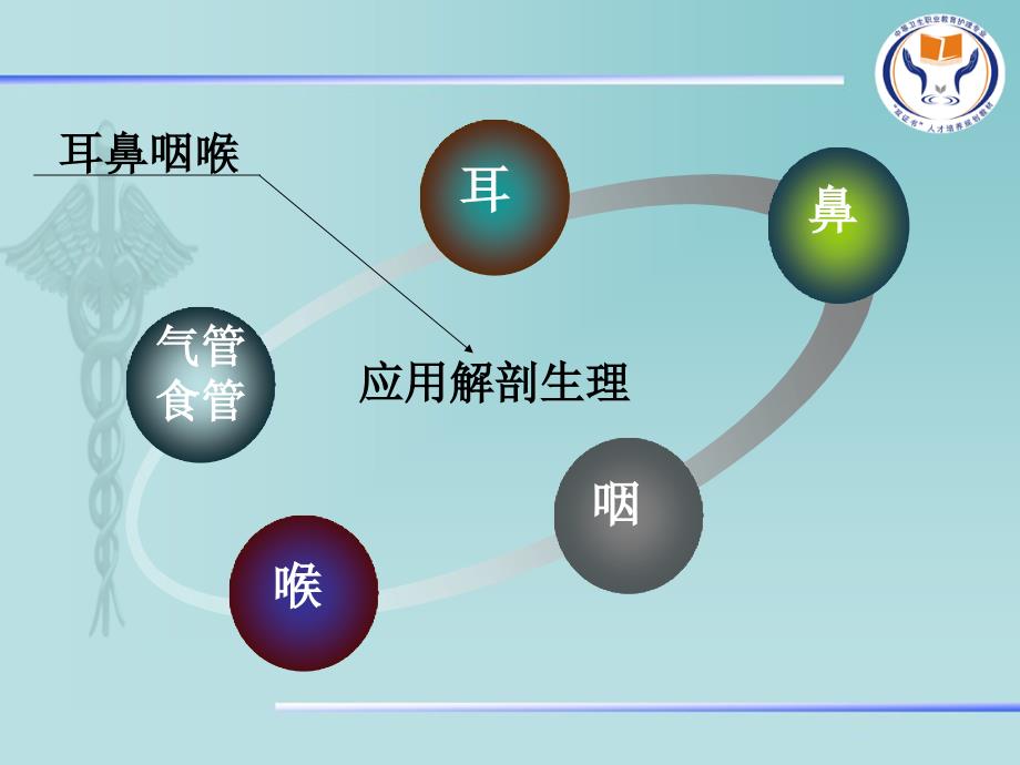 第四章耳鼻咽喉解剖_第2页