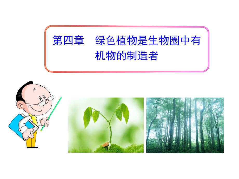 第四章绿色植物是生物圈中有机物的制造者（共23张PPT）_第1页