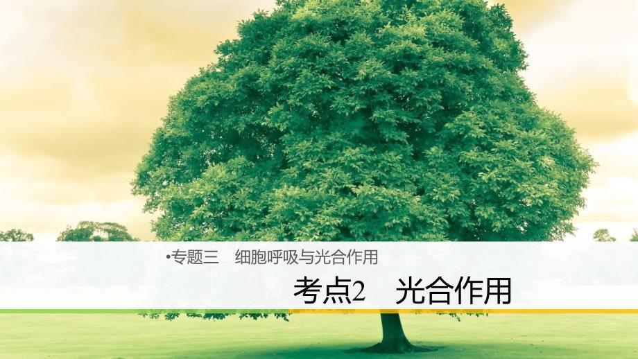 高三生物二轮专题复习 专题三 细胞呼吸与光合作用 考点2 光合作用课件 新人教版_第1页