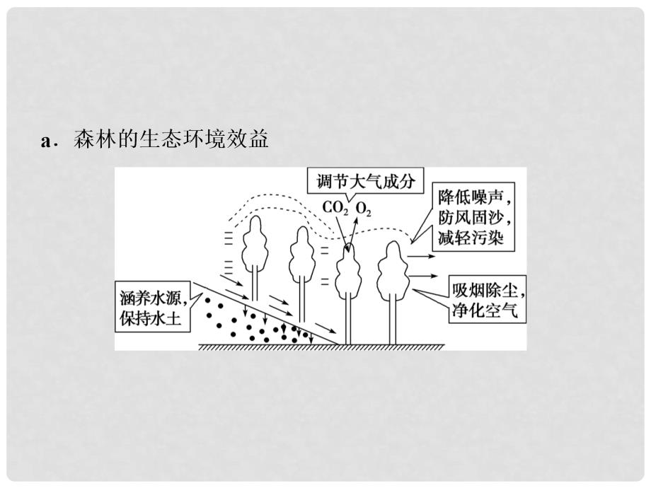 高考地理一轮复习 第28讲 森林的开发和保护——以亚马孙热带雨林为例课件 新人教版_第4页