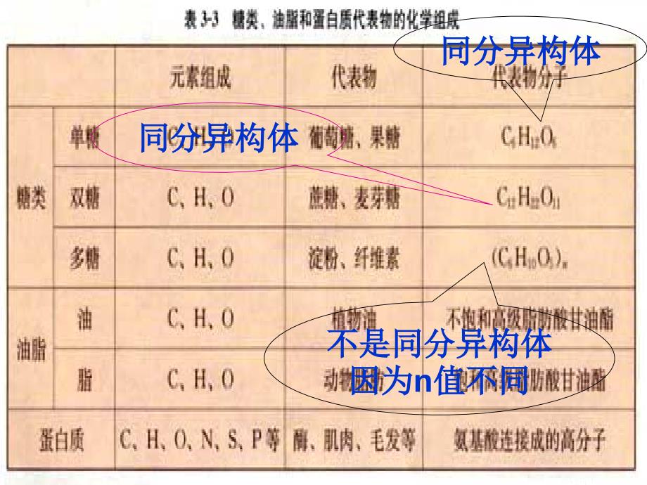 【PPT】基本营养物质(必修2)_第3页