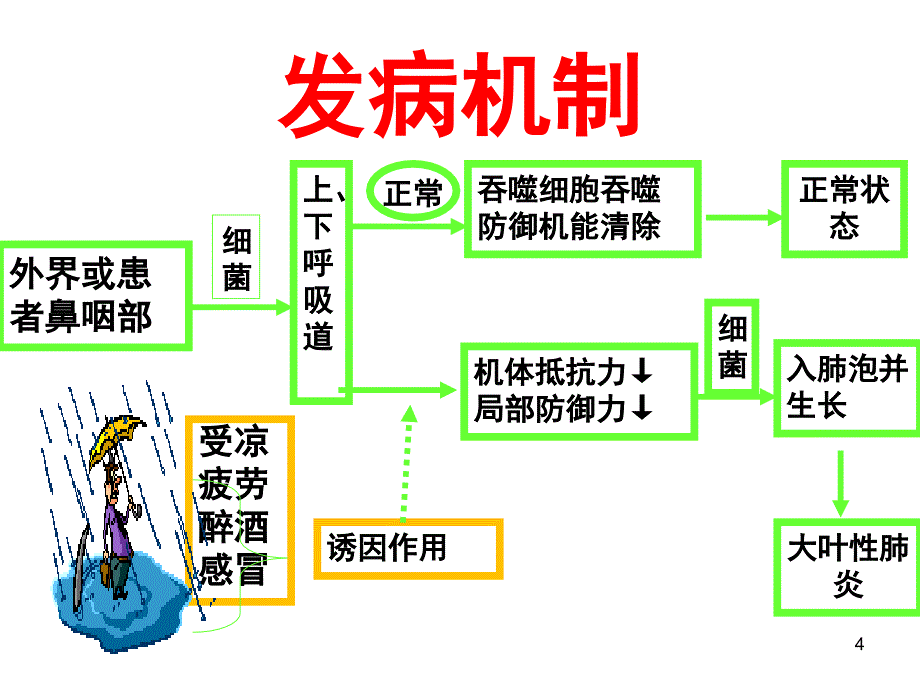 细菌性肺炎课件_第4页