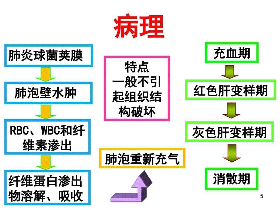 细菌性肺炎课件_第5页