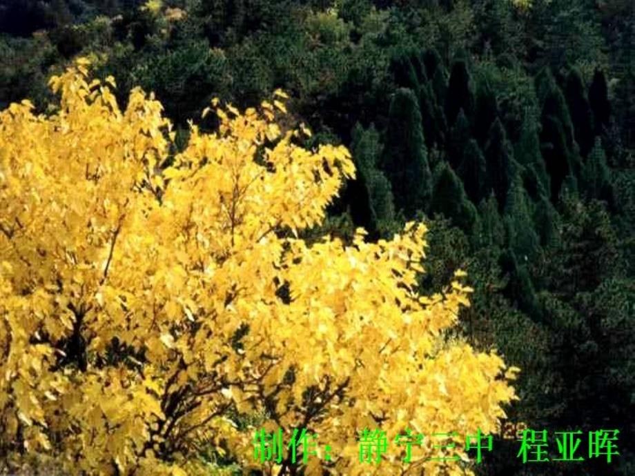 人教版初中语文七年级课件天_第1页